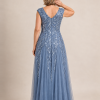 Sylvie glitter embroidered Dusty Blue gown by Dressology — regular back view